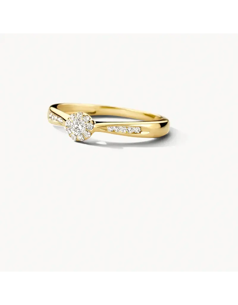 Blush Blush Ring 1632YDI/54 14k Geelgoud 0,19crt G SI Briljant geslepen Diamant Maat 54