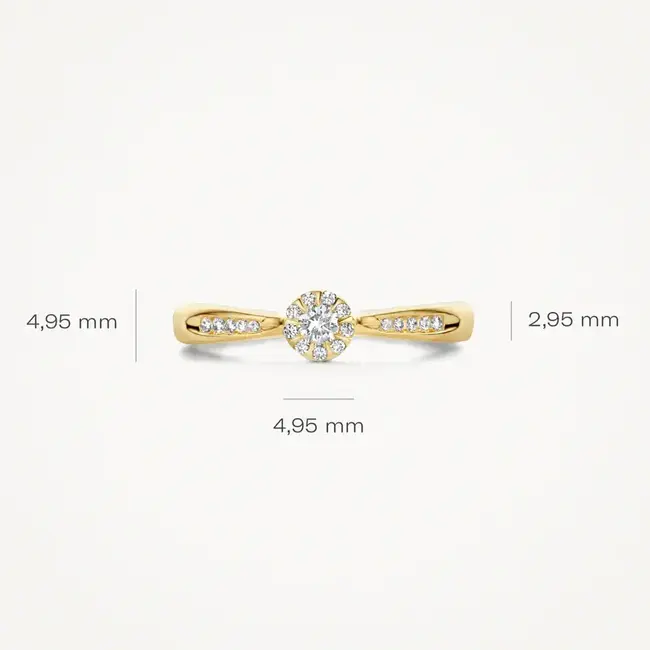 Blush Blush Ring 1632YDI/54 14k Geelgoud 0,19crt G SI Briljant geslepen Diamant Maat 54