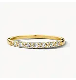 Blush Blush Ring 1640YDI/54 14k Geelgoud 0,17crt G SI Briljant geslepen Diamant Maat 54