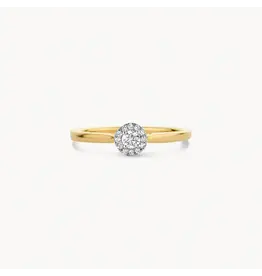 Blush Blush Ring 1648BDI/54 14k Geelgoud 0,15crt G SI Briljant geslepen Diamant Maat 54