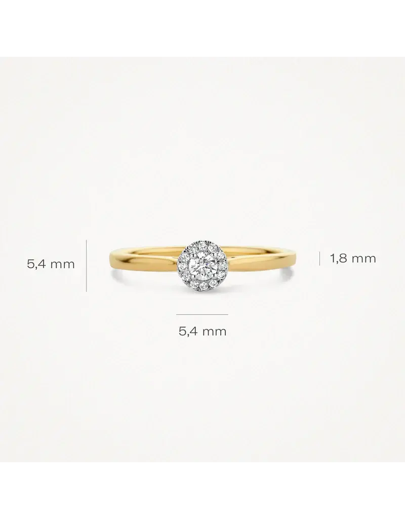 Blush Blush Ring 1648BDI/54 14k Geelgoud 0,15crt G SI Briljant geslepen Diamant Maat 54