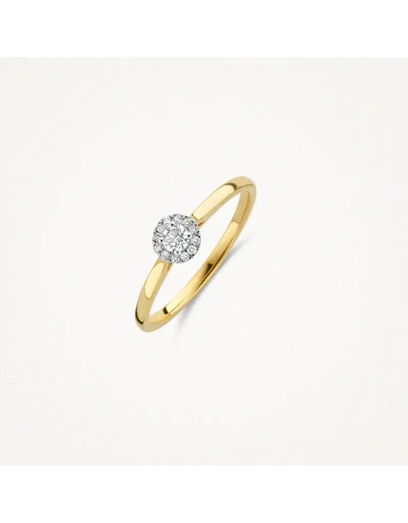 Blush Blush Ring 1648BDI/54 14k Geelgoud 0,15crt G SI Briljant geslepen Diamant Maat 54