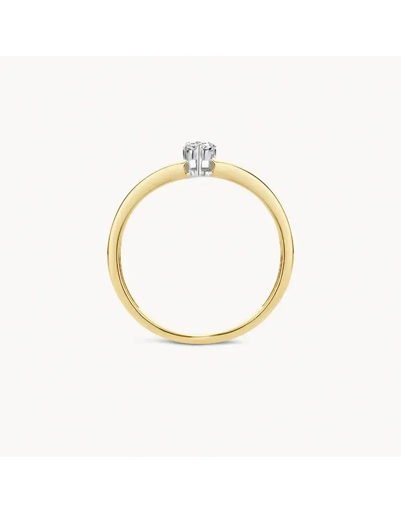 Blush Blush Ring 1623BDI/54 14k Geelgoud 0,12crt G SI Briljant geslepen Diamant Maat 54