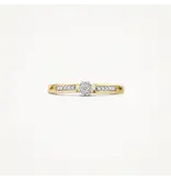 Blush Blush Ring 1623BDI/54 14k Geelgoud 0,12crt G SI Briljant geslepen Diamant Maat 54