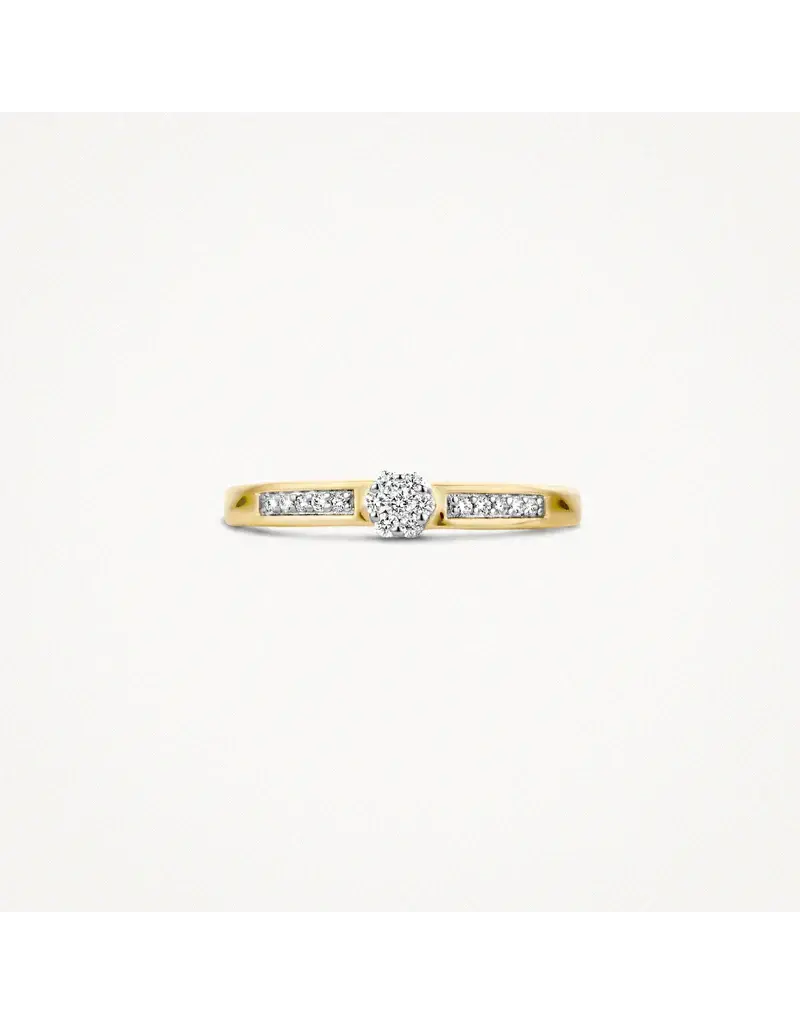 Blush Blush Ring 1623BDI/54 14k Geelgoud 0,12crt G SI Briljant geslepen Diamant Maat 54