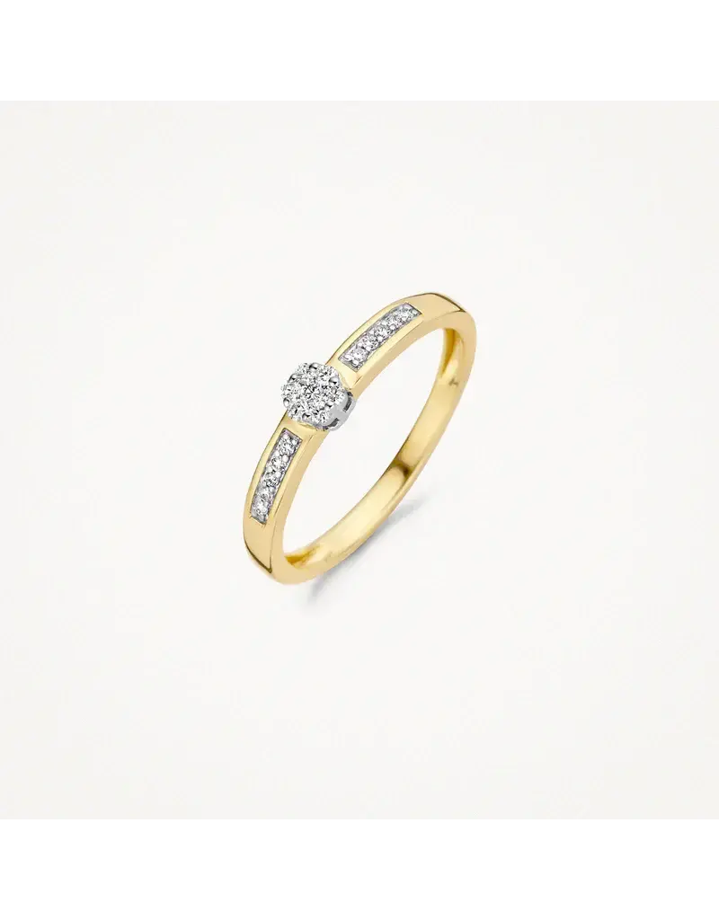 Blush Blush Ring 1623BDI/54 14k Geelgoud 0,12crt G SI Briljant geslepen Diamant Maat 54