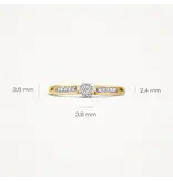 Blush Blush Ring 1623BDI/54 14k Geelgoud 0,12crt G SI Briljant geslepen Diamant Maat 54