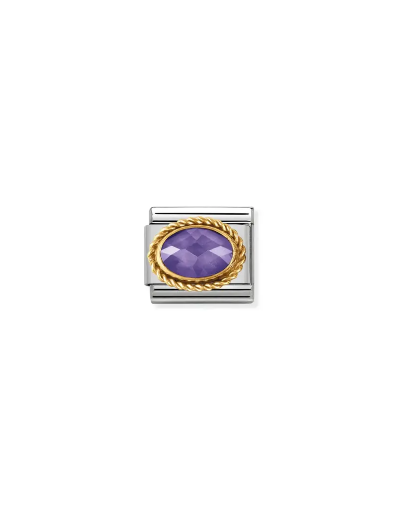 Nomination Nomination Schakel 030508-02 Composable Classic Staal met 18k Geelgouden Zetting en Amethyst steen