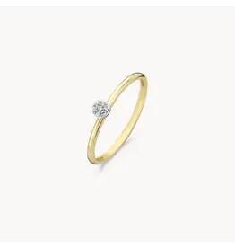 Blush Blush Ring 1199YZI/54 14k Geelgoud met zirconia