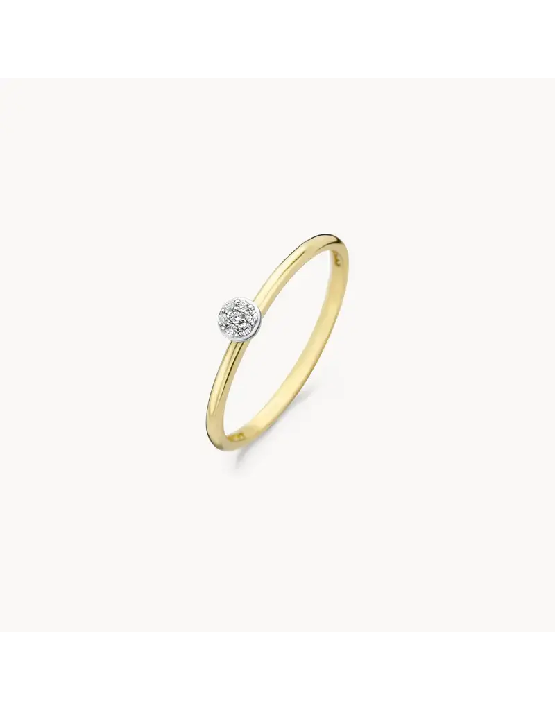 Blush Blush Ring 1199YZI/54 14k Geelgoud met zirconia