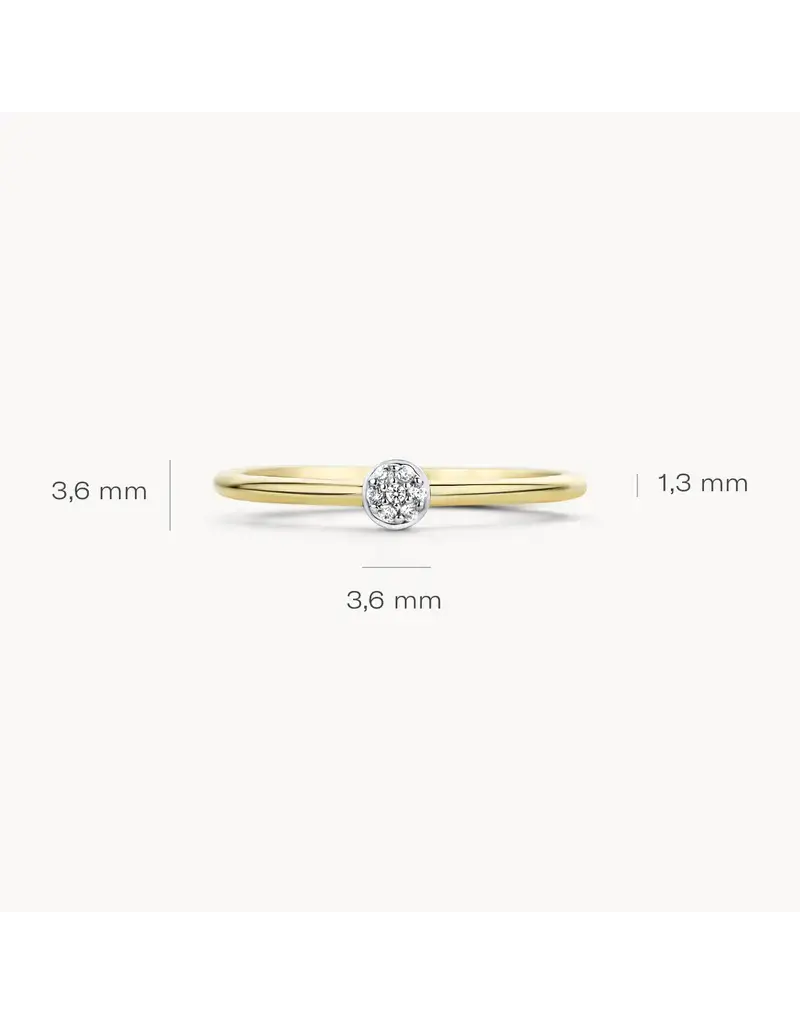 Blush Blush Ring 1199YZI/54 14k Geelgoud met zirconia