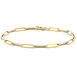 Blush Blush Armband 2190YGO 14k Geelgoud Forever Closed 18.5cm