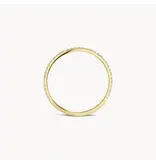 Blush Blush Ring 1201YZI/54 14k Geelgoud gezet met Zirkonia Maat 54