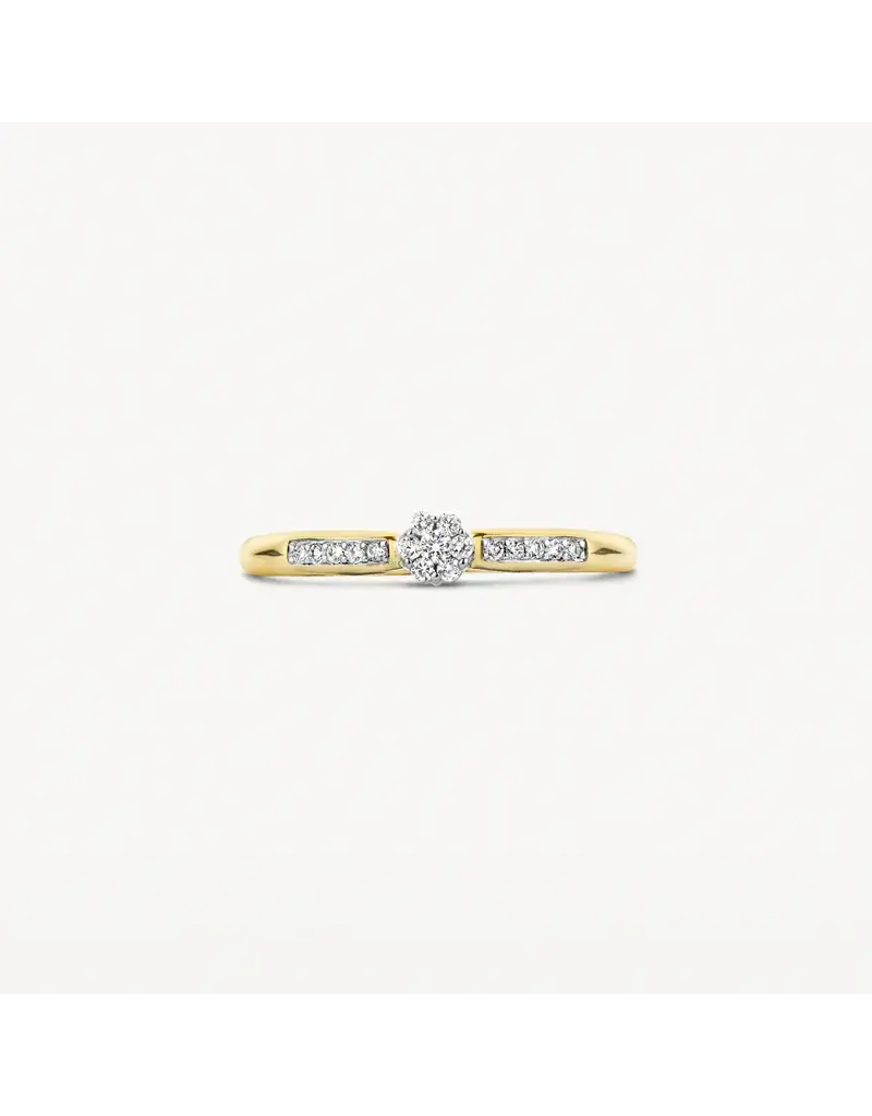 Blush Blush Ring 1625BDI/54 14k Geelgoud 0,12crt G SI Briljant geslepen Diamant Maat 54