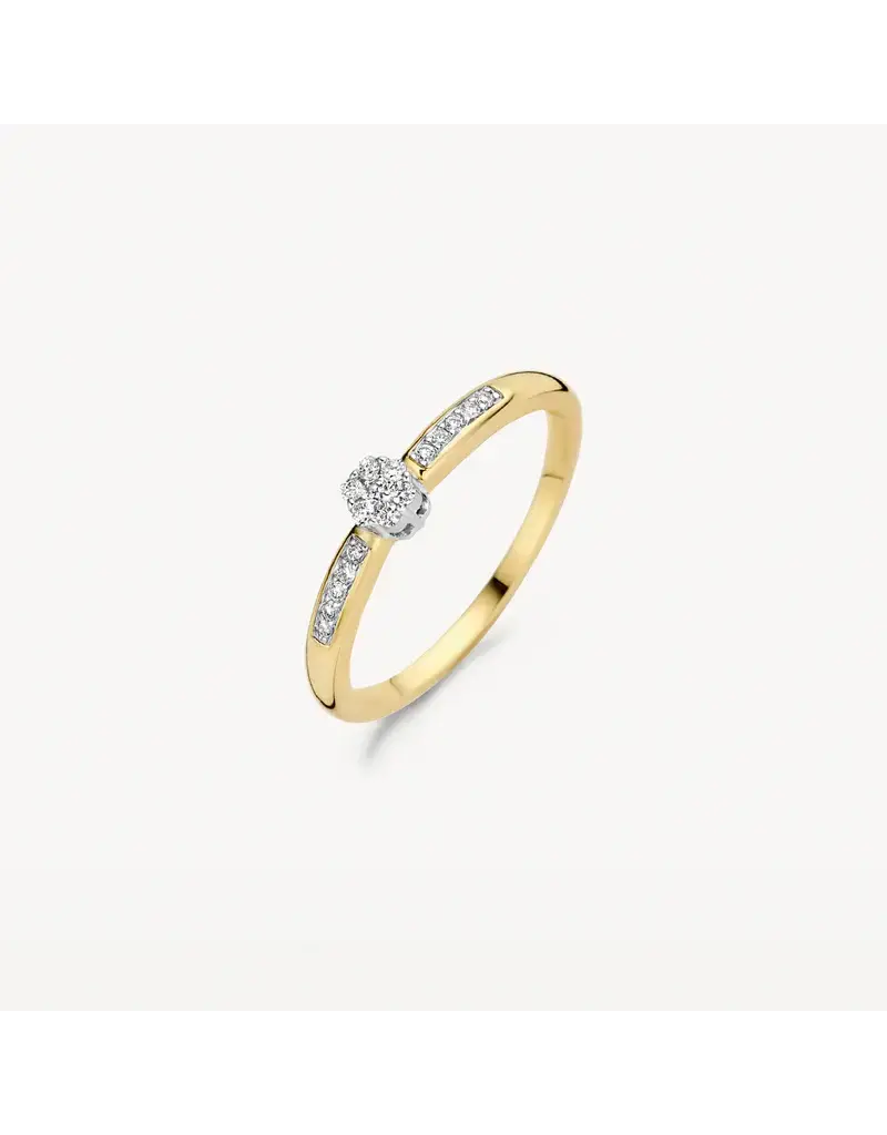 Blush Blush Ring 1625BDI/54 14k Geelgoud 0,12crt G SI Briljant geslepen Diamant Maat 54