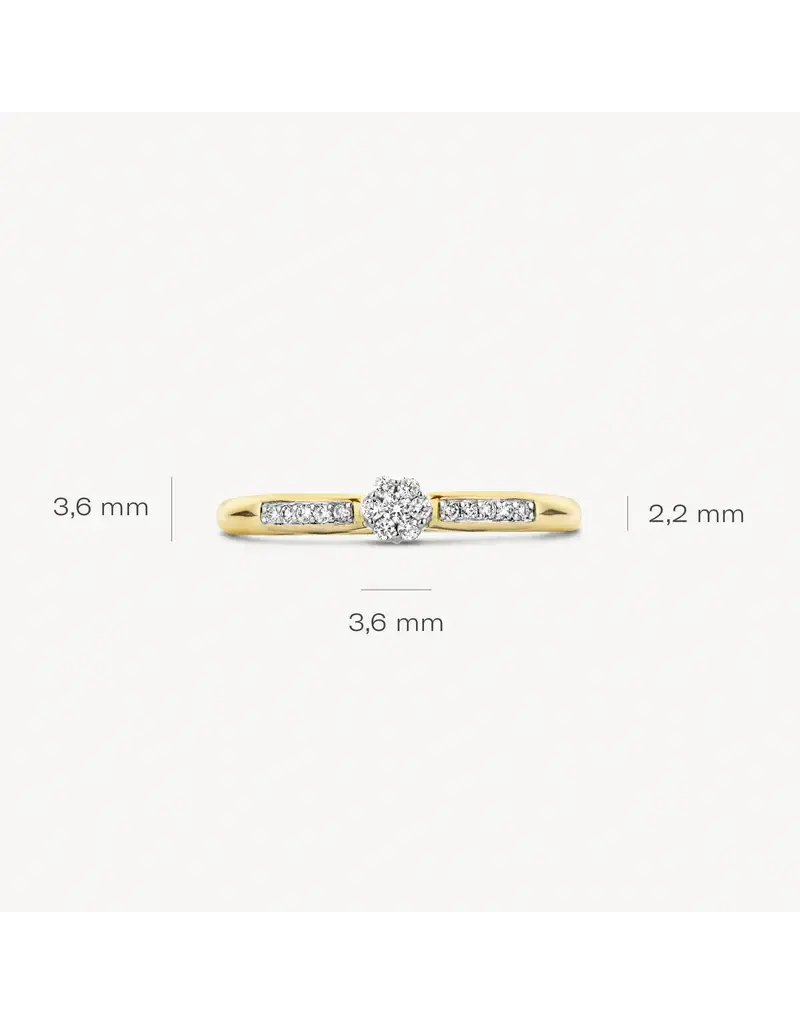 Blush Blush Ring 1625BDI/54 14k Geelgoud 0,12crt G SI Briljant geslepen Diamant Maat 54