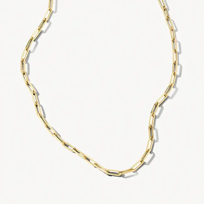 Blush Blush Collier 3130YGO 14k Geelgoud met Closed Forever Schakel 45cm