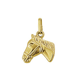 Blinckers Jewelry Huiscollectie BJ bedel 40.01846 14k goud paardenhoofd