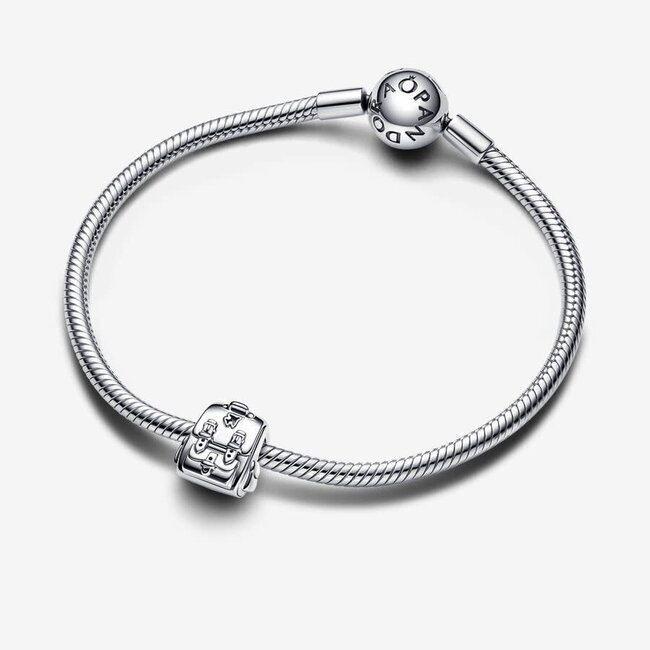 Pandora Pandora Bedel 793351C00 Zilver  Rugtas