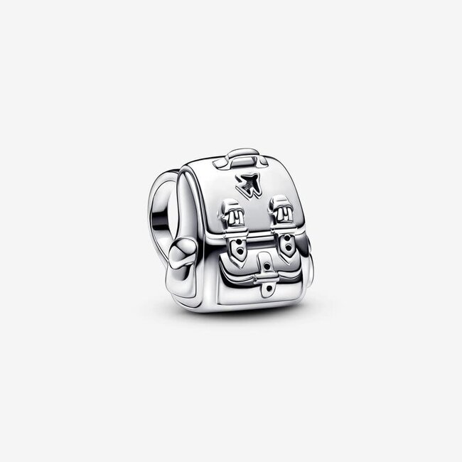 Pandora Pandora Bedel 793351C00 Zilver  Rugtas