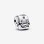 Pandora Pandora Bedel 793351C00 Zilver  Rugtas