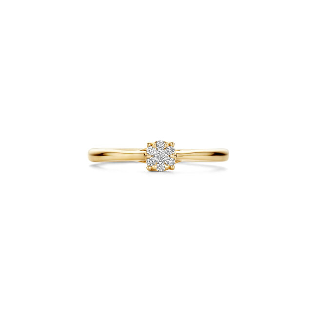 Blush Blush Ring 1665YDI/54 14K Geelgoud met 0.10crt Briljant geslepen Diamant Maat 54