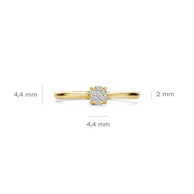 Blush Blush Ring 1665YDI/54 14K Geelgoud met 0.10crt Briljant geslepen Diamant Maat 54