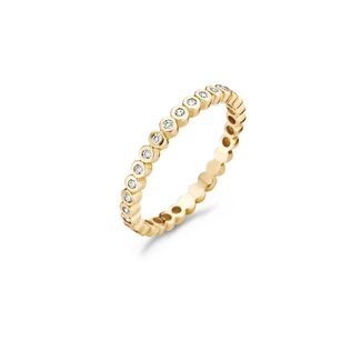 Blush Blush Ring 1120YZ/54 14k Geelgoud gezet met Briljant geslepen Zirkonia Maat 54