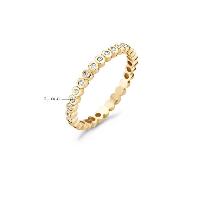 Blush Blush Ring 1120YZ/54 14k Geelgoud gezet met Briljant geslepen Zirkonia Maat 54