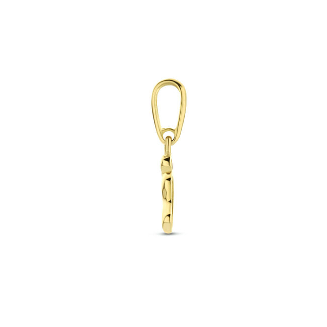 Blinckers Jewellery Huiscollectie BJ Hanger 40.28297 14k Geelgoud Voet 6mm