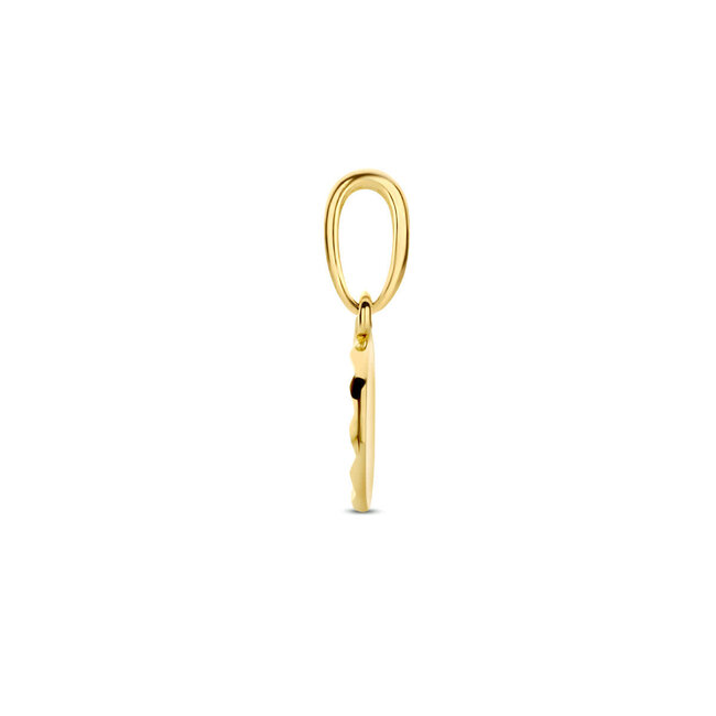 Blinckers Jewellery Huiscollectie BJ Hanger 40.28289 14k Geelgoud Rond Bewerkt 6.5mm