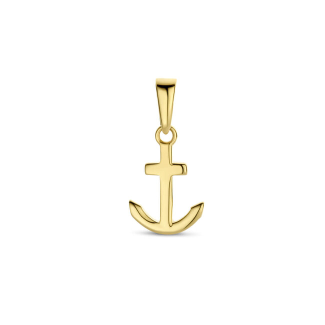 Blinckers Jewellery Huiscollectie BJ Hanger 40.28295 14k Geelgoud Anker 11 x 7.5mm