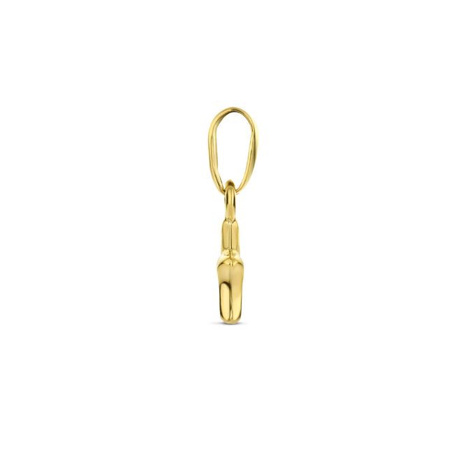 Blinckers Jewellery Huiscollectie BJ Hanger 40.28293 14k Geelgoud Ster 6mm