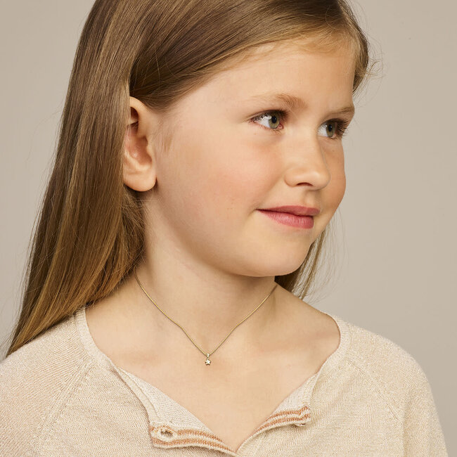 Blinckers Jewellery Huiscollectie BJ Hanger 40.28293 14k Geelgoud Ster 6mm