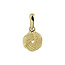 Blinckers Jewellery Huiscollectie BJ Hanger 40.28292 14k Geelgoud Knoop Gedraaid 7mm