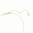 Swarovski Swarovski Collier 5668820  Dextera Goudkleurig Interlinked 38-45cm