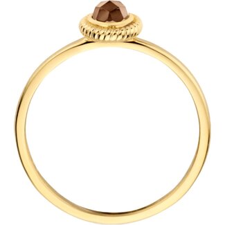 Blush Blush Ring 1239YBQ/54 14k Geelgoud met Quartz Maat 54