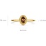 Blush Blush Ring 1239YBQ/54 14k Geelgoud met Quartz Maat 54