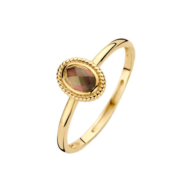 Blush Blush Ring 1239YBQ/54 14k Geelgoud met Quartz Maat 54