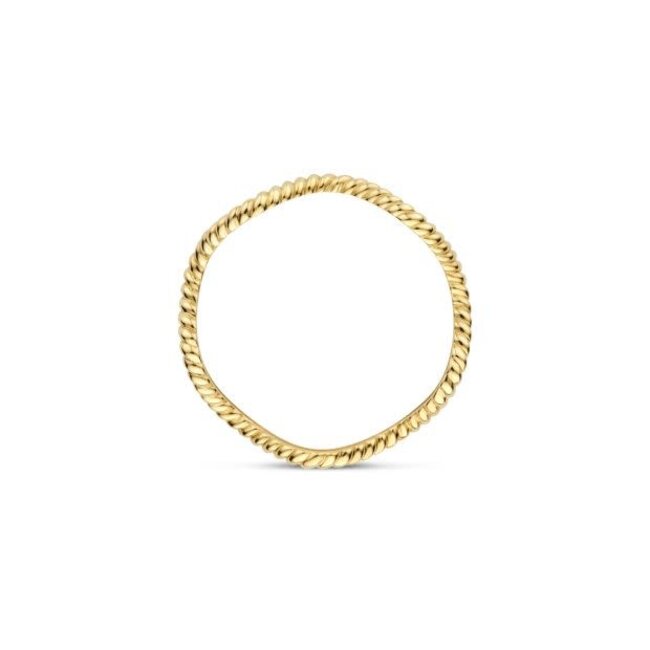 Blush Blush Ring 1263YGO/56 14k Geelgoud Wave Gedraaid Maat 56