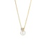 Blush Blush Collier 3163YPW 14k Geelgoud met Parel en Zirkonia Hanger 42cm