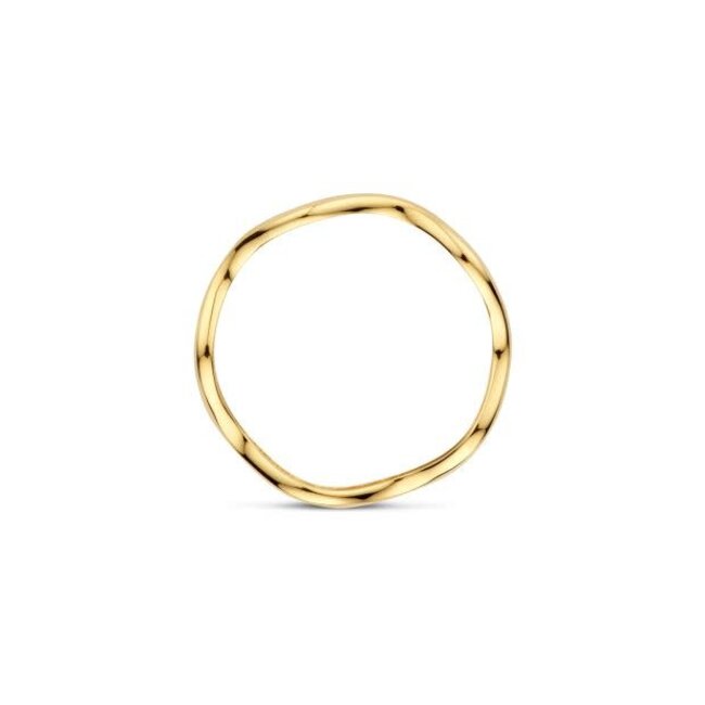 Blush Blush Ring 1261YGO/56 14k Geelgoud Golf Glad Maat 56