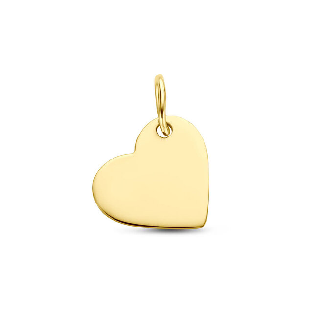 Blinckers Jewellery Huiscollectie BJ Hanger 40.30149 14k Geelgoud Hart Schuin 10 x 11mm