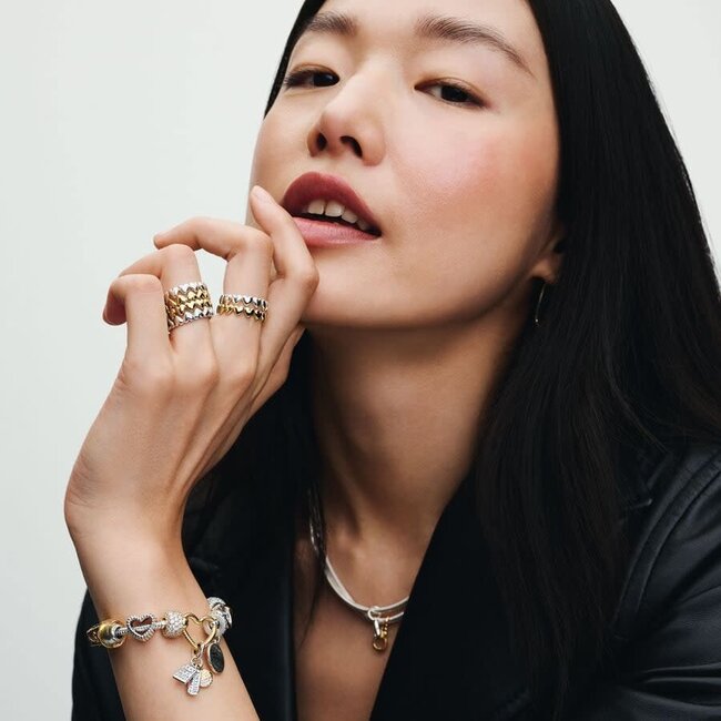 Pandora Pandora Ring 163427C00-54 Zilver met 14k Geelgouden Plating Hartjes Maat 54