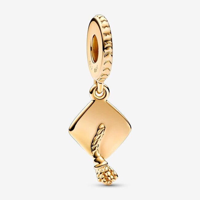 Pandora Pandora bedel 761892C00 14k Gold Plated Geslaagd