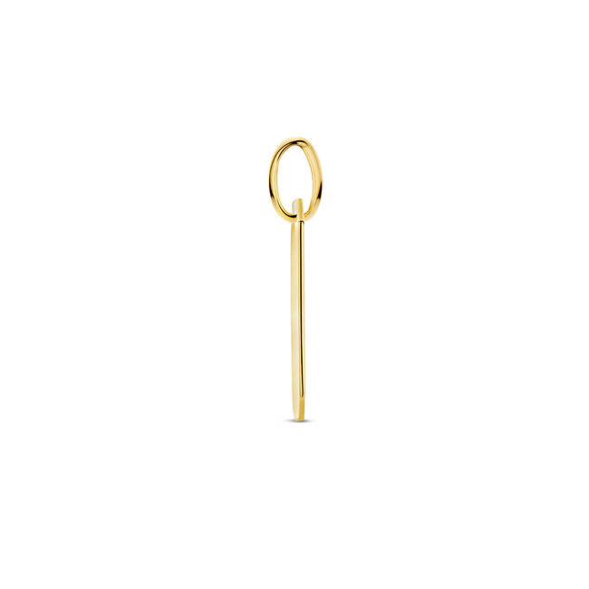 Blinckers Jewellery Huiscollectie BJ Hanger 40.31680 14k Geelgoud Rechthoek 15.5mm x 11mm