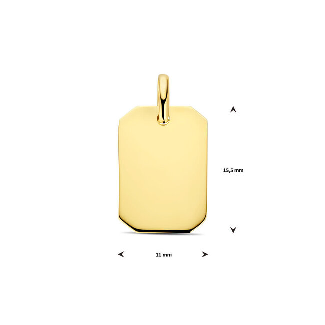 Blinckers Jewellery Huiscollectie BJ Hanger 40.31680 14k Geelgoud Rechthoek 15.5mm x 11mm