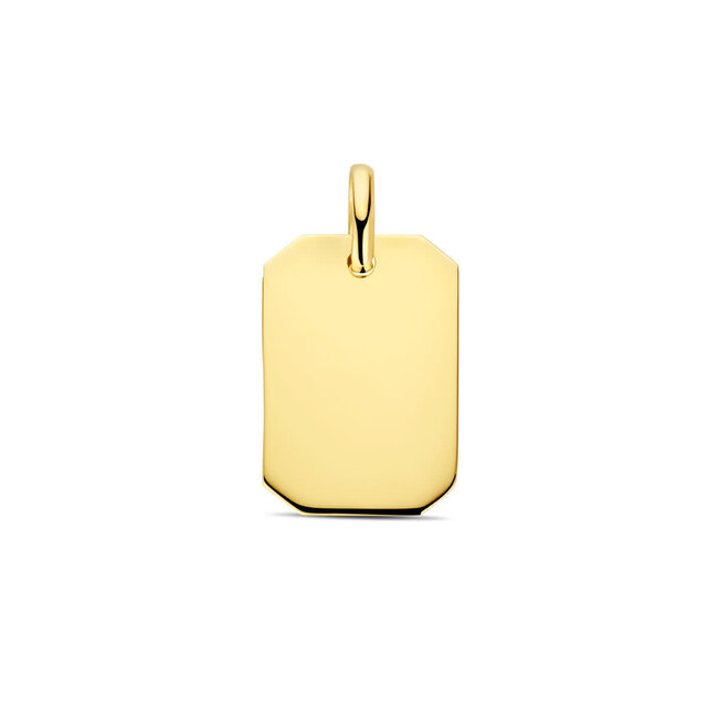 Blinckers Jewellery Huiscollectie BJ Hanger 40.31680 14k Geelgoud Rechthoek 15.5mm x 11mm