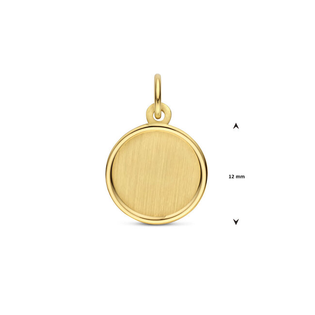 Blinckers Jewellery Huiscollectie BJ Hanger 40.33124 14k Geelgoud Rond 1.8cm x 12mm