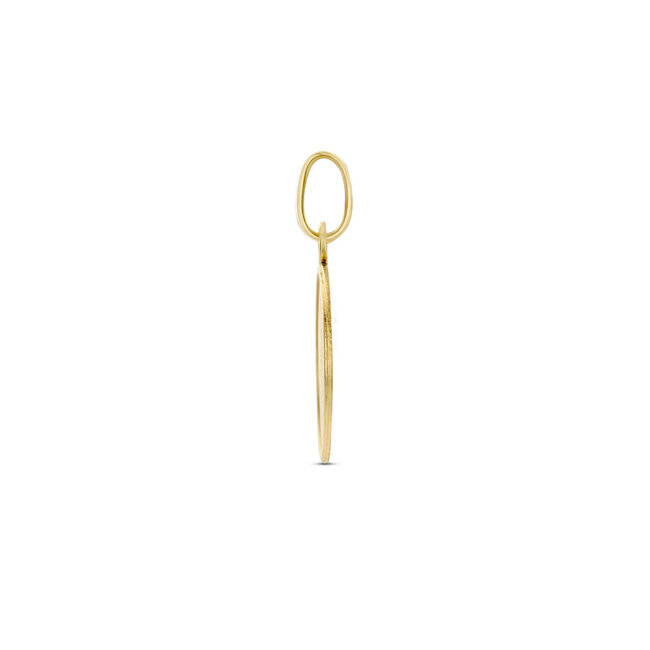 Blinckers Jewellery Huiscollectie BJ Hanger 40.33131 14k Geelgoud Rond 1.8cm x 12mm